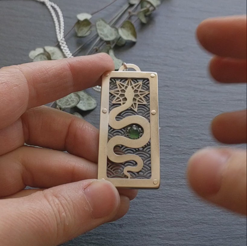 Year of The Snake - Transformation