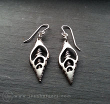 Silver Shell Earrings 1