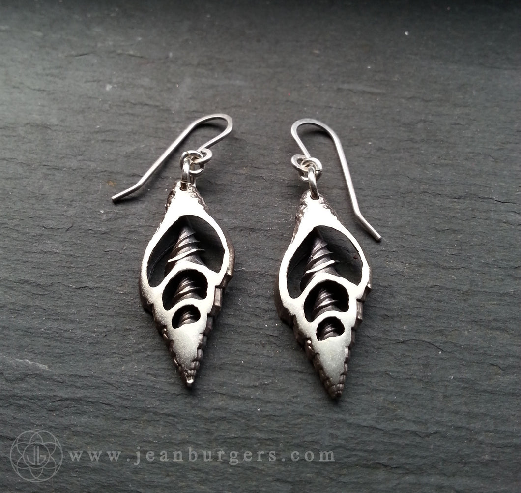 Silver Shell Earrings 1