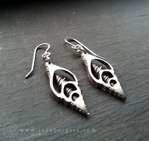 Silver Shell Earrings 1