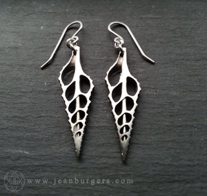 Silver Shell Earrings 2