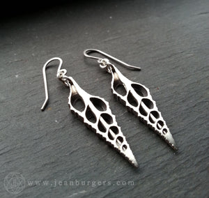 Silver Shell Earrings 2