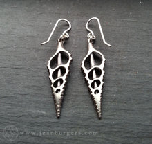 Silver Shell Earrings 2